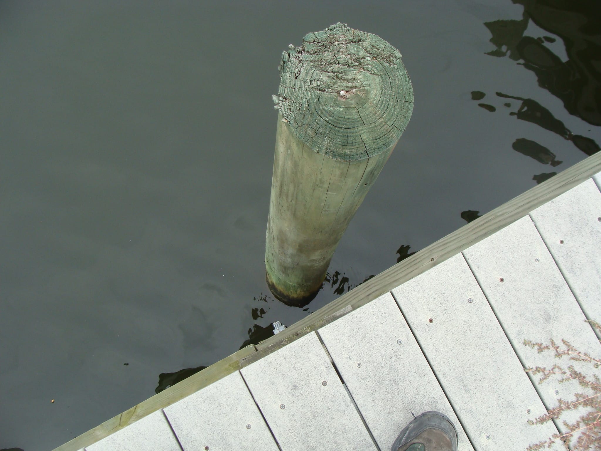 Dock Inspection-Toms River Twp. NJ