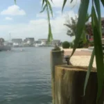 bulkhead inspection toms river nj