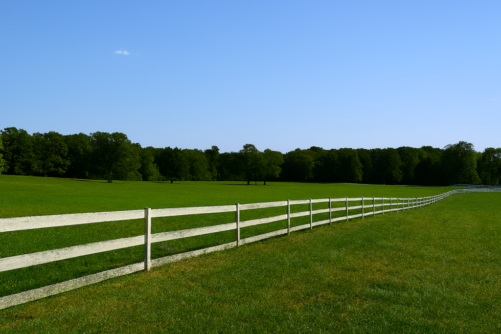 “Wide grassy field with a long wooden fence and a line of trees beneath a clear blue sky.”